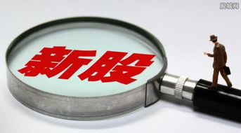 7只新股今日联袂上市，盛天网络领衔互联网游戏服务板块大涨44%遭临停